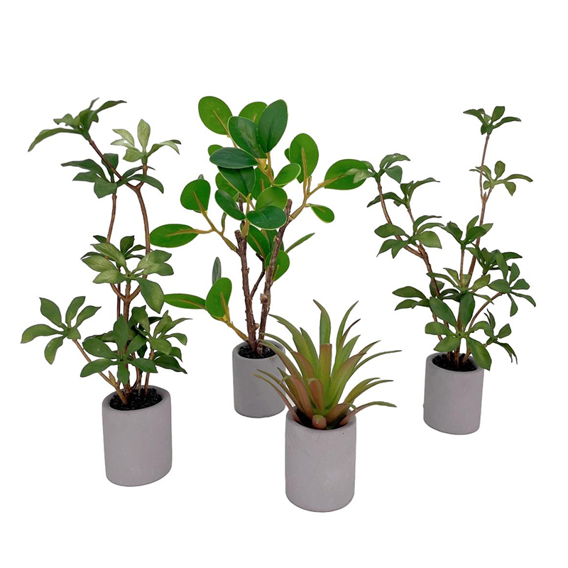 Bonsai Garden Accessories - 1:6 Dollhouse Miniature Potted Plant Green