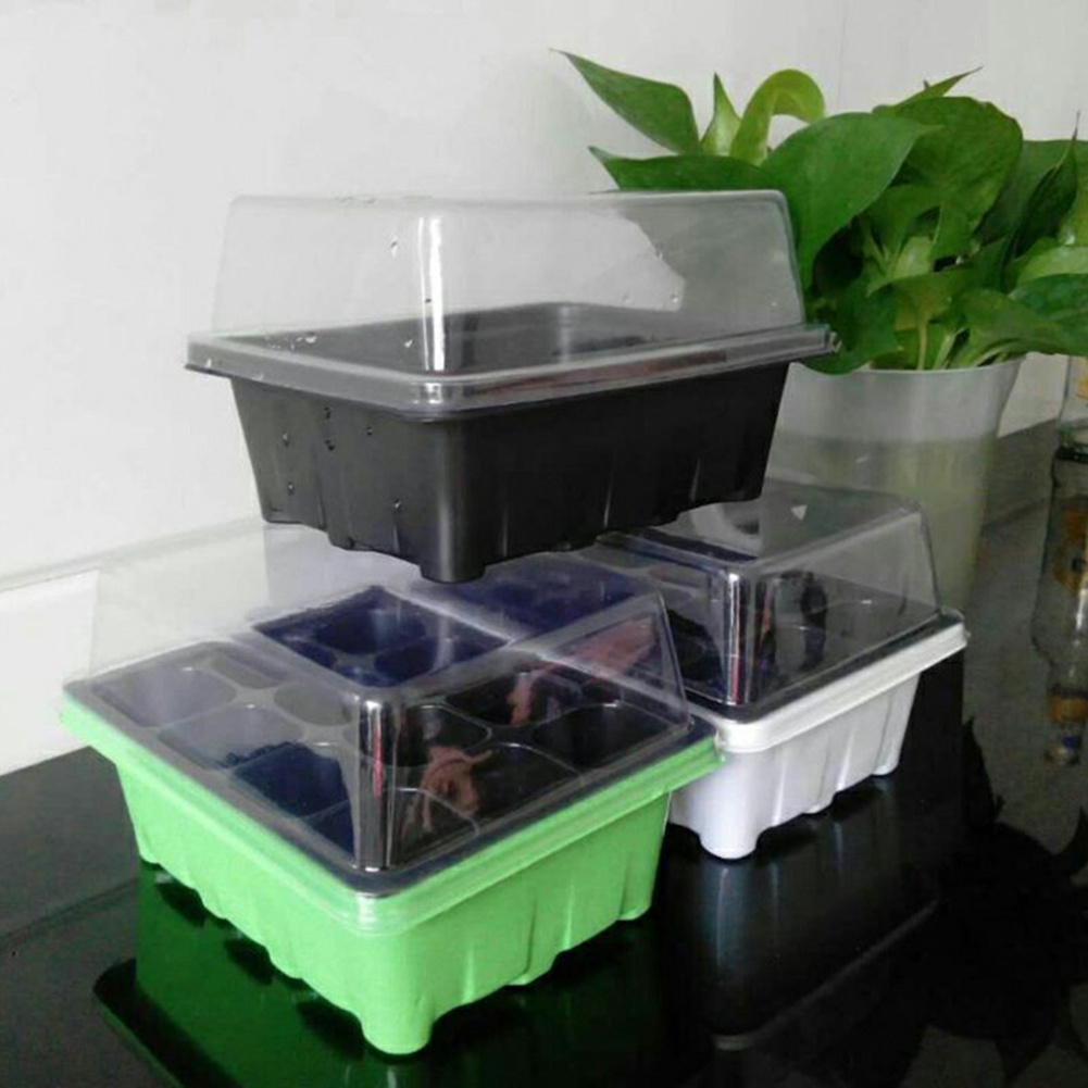 Seed Starter Kit 12 Cells Seed - Bonsai Garden Grow Kit ulasan dan harga