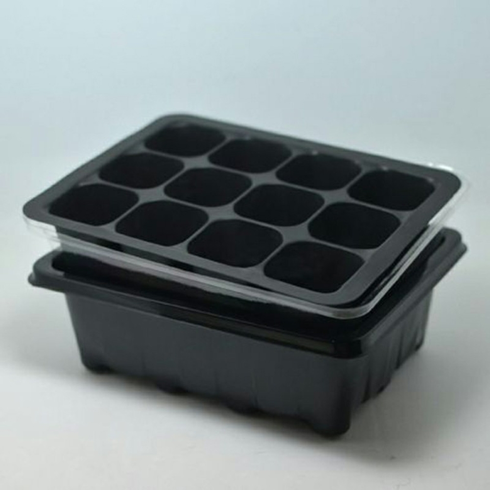 Seed Starter Kit 12 Cells Seed - Bonsai Garden Grow Kit ulasan dan harga