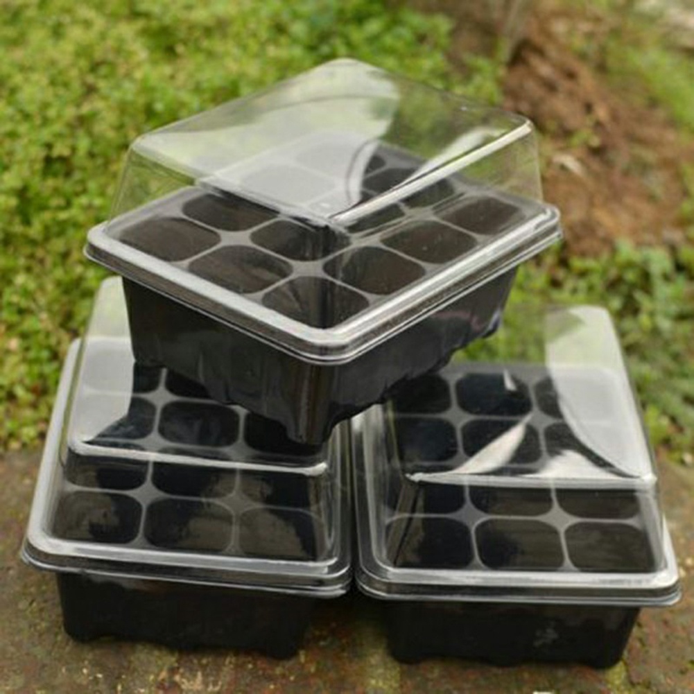 Seed Starter Kit 12 Cells Seed - Bonsai Garden Grow Kit ulasan dan harga