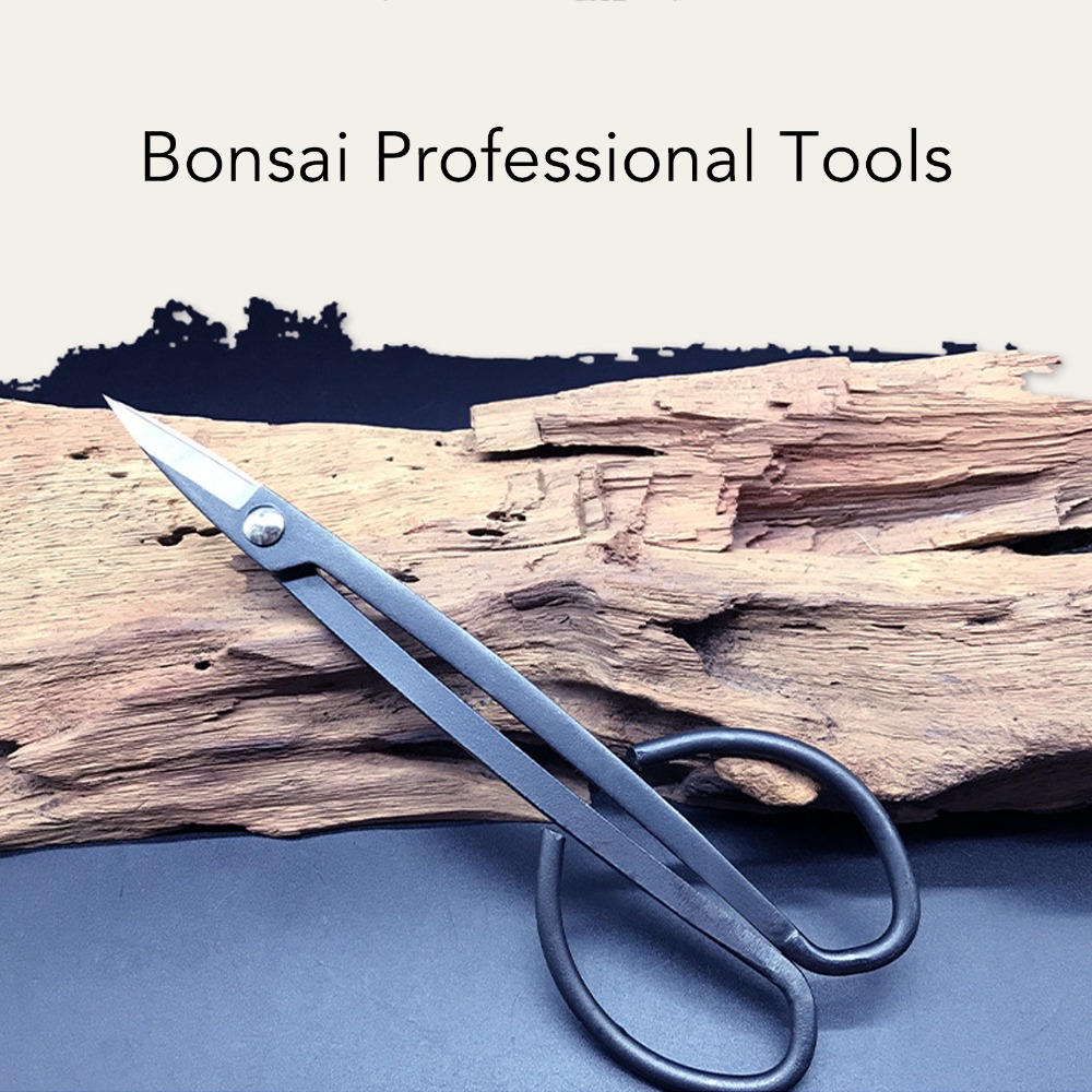 Stainless Steel Bonsai Scissor - Bonsai Tool Set ulasan dan harga