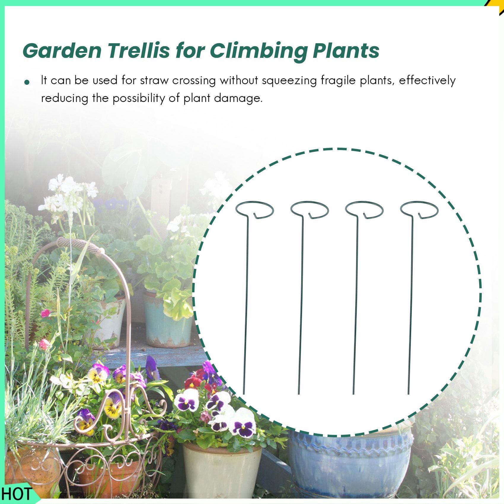 AWAH 8PCS Beautiful Plant Supp - Bonsai Garden Backyard ulasan dan harga