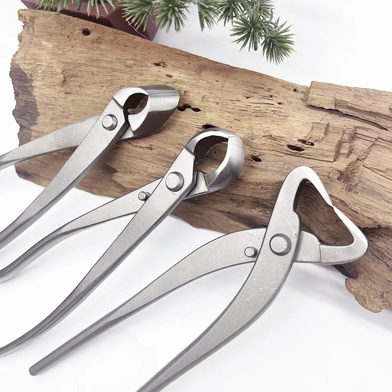 1pcs Stainless Steel Bonsai Pr - Bonsai Tool Set ulasan dan harga