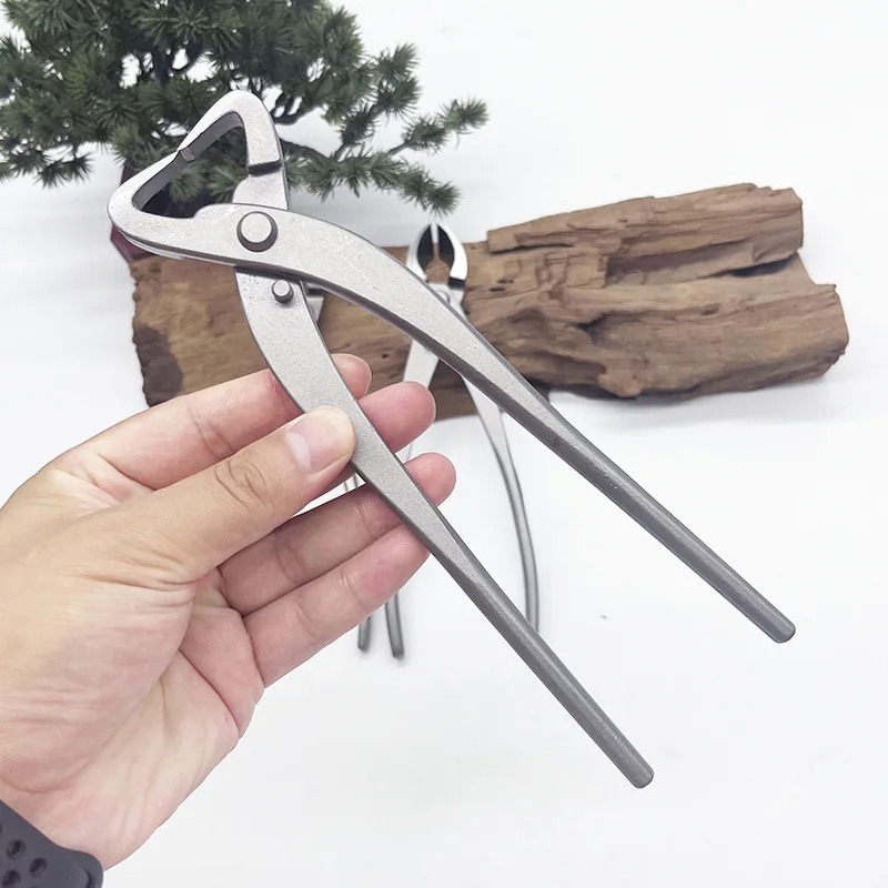 1pcs Stainless Steel Bonsai Pr - Bonsai Tool Set ulasan dan harga