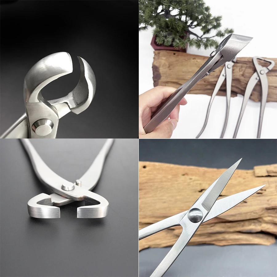 1pcs Stainless Steel Bonsai Pr - Bonsai Tool Set ulasan dan harga