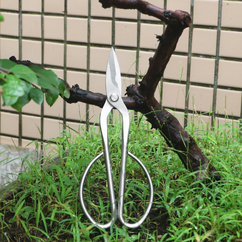 All-steel garden shears, folia - Bonsai Tool Set ulasan dan harga