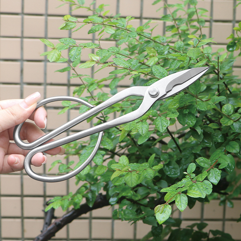 All-steel garden shears, folia - Bonsai Tool Set ulasan dan harga