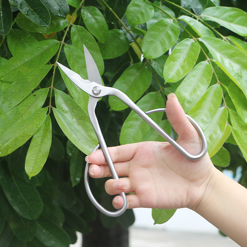 All-steel garden shears, folia - Bonsai Tool Set ulasan dan harga