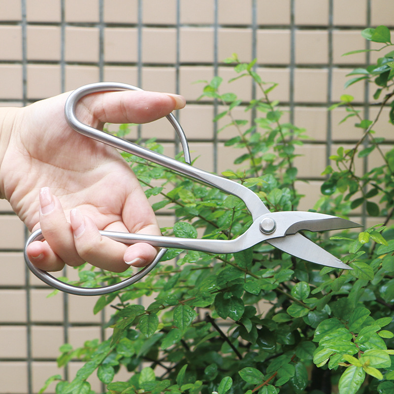 All-steel garden shears, folia - Bonsai Tool Set ulasan dan harga