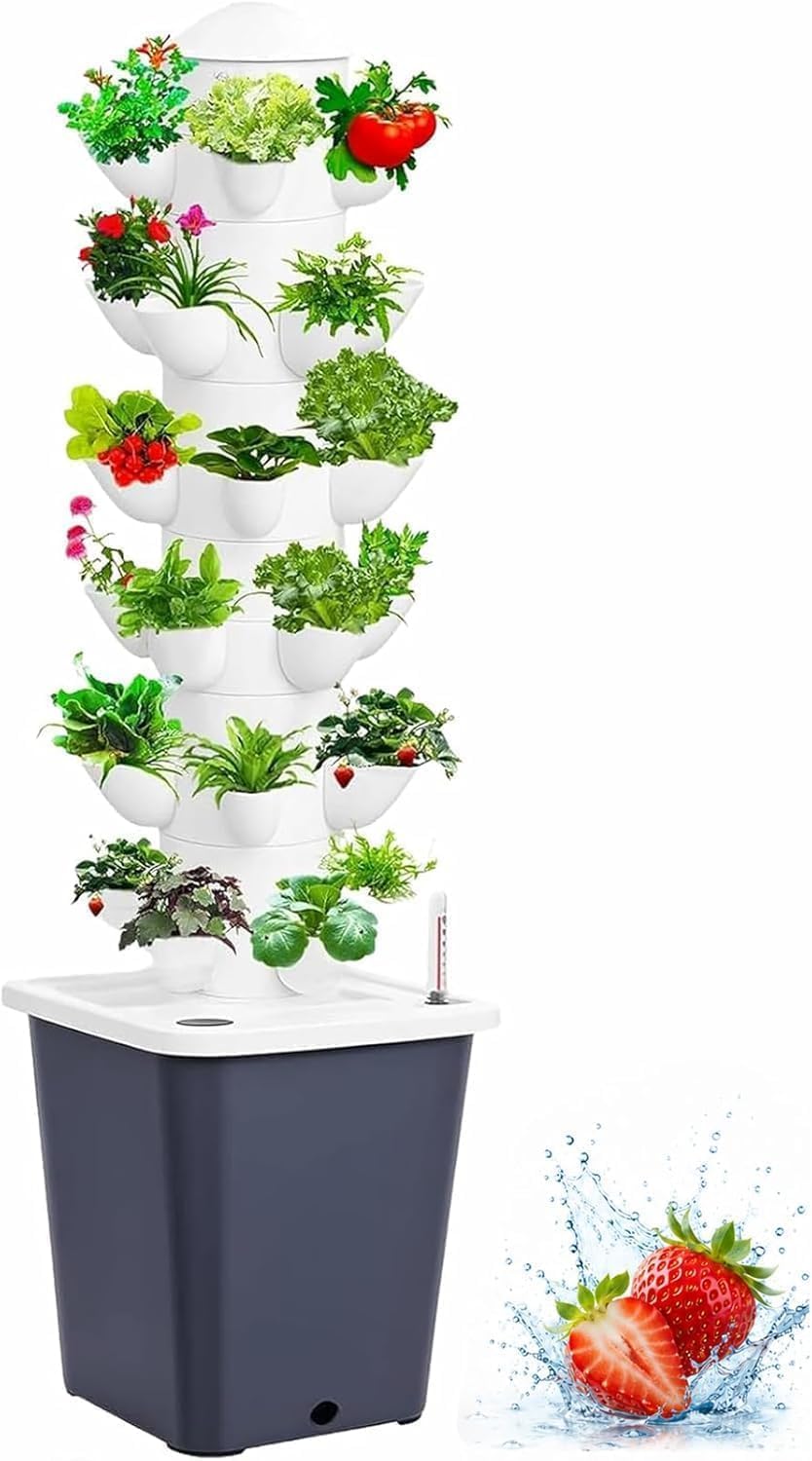 Plants Propagation Station | V - Bonsai Garden Grow Kit ulasan dan harga