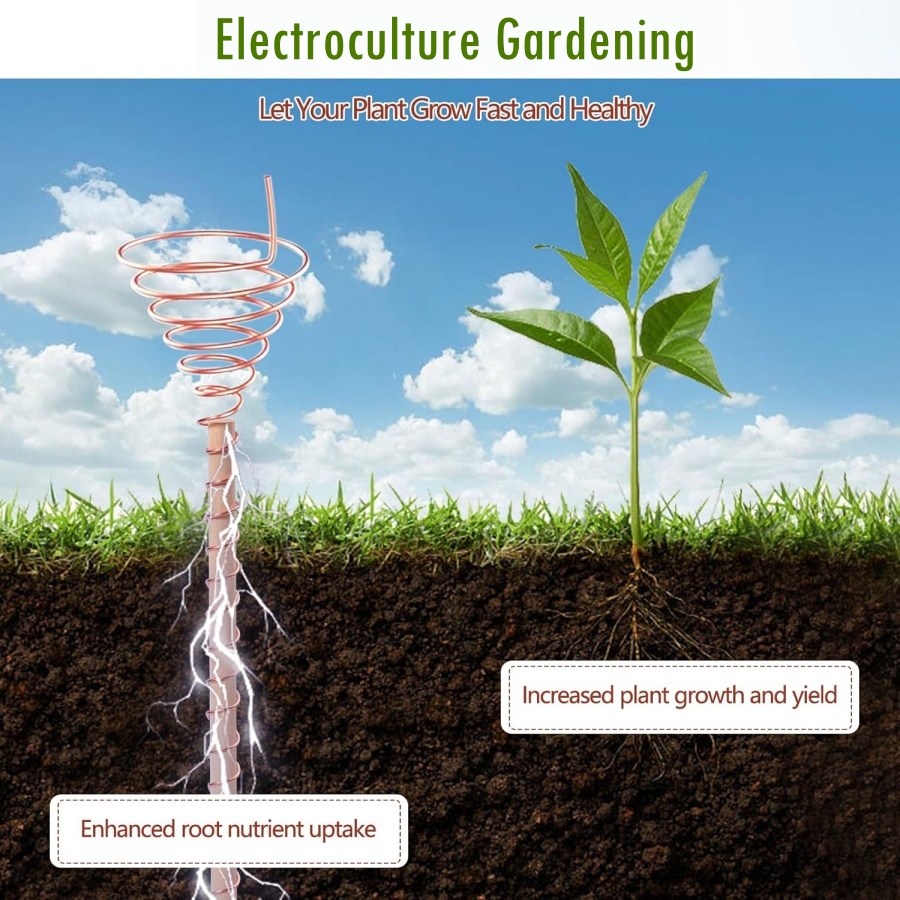 20m/65ft Electroculture Garden - Copper Wire Roll ulasan dan harga