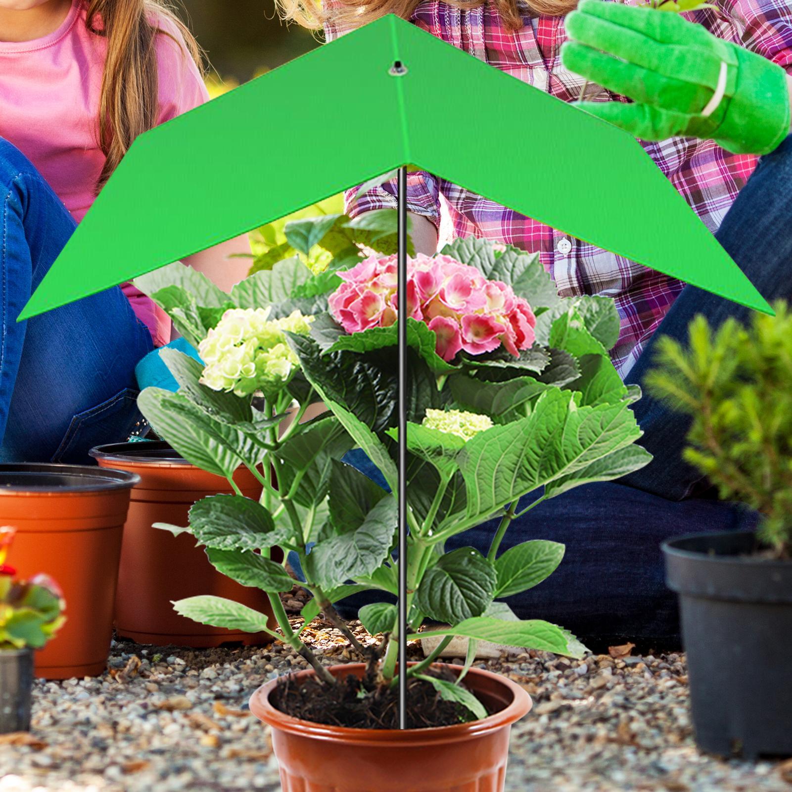 Plant Umbrella Anti-UV Heat Re - Bonsai Garden Backyard ulasan dan harga