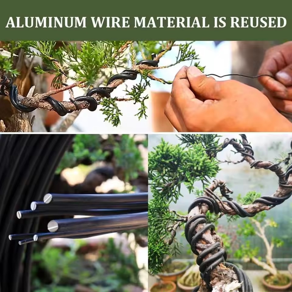 for Plant Shaping Garden Acces - Bonsai Garden Accessories ulasan dan harga