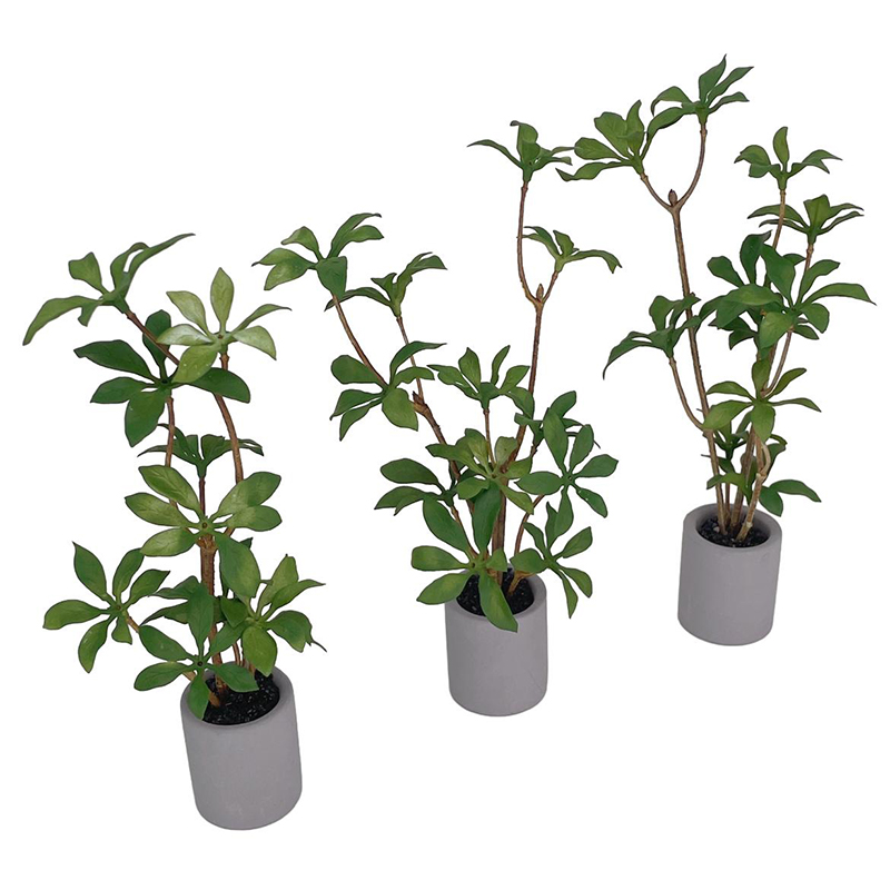 1:6 Dollhouse Miniature Potted - Bonsai Garden Accessories ulasan dan harga