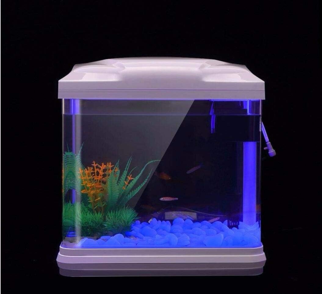 Fish Tank Rocks Glow Blue Pebb - Bonsai Garden Accessories ulasan dan harga