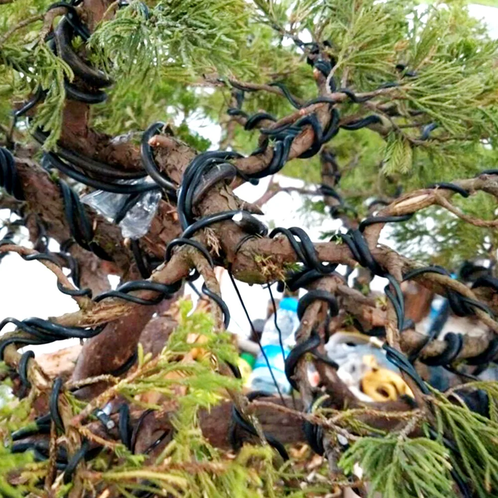 4 Rolls Bonsai Wire Set Anodiz - Bonsai Zen Garden Set ulasan dan harga