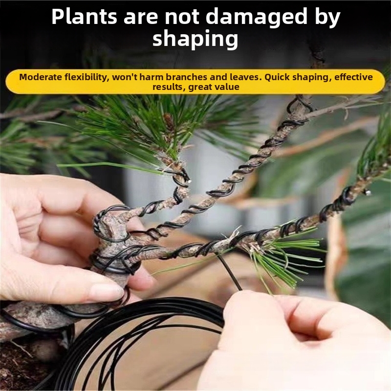 1.5MM Bonsai Wires Aluminum Bo - Bonsai Garden Accessories ulasan dan harga