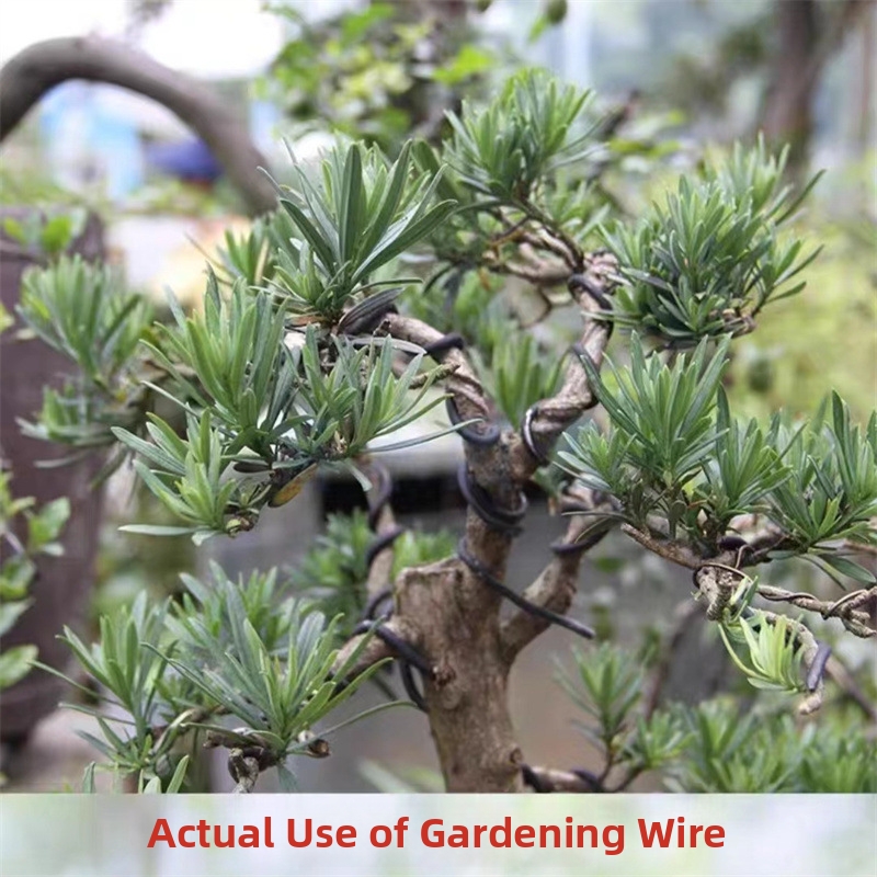 1.5MM Bonsai Wires Aluminum Bo - Bonsai Garden Accessories ulasan dan harga