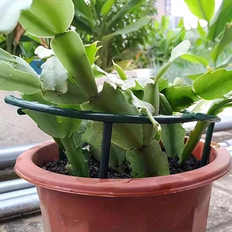 30-1PCS Plastic Plant Support  - Bonsai Garden Accessories ulasan dan harga