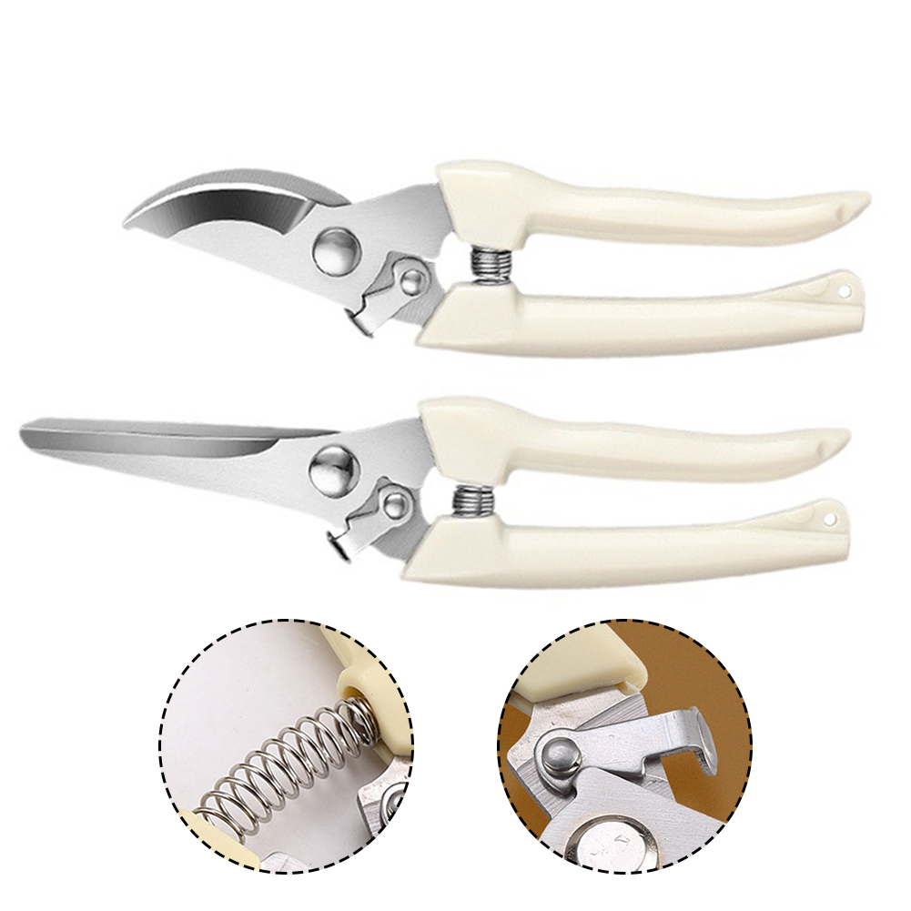 Pruner Shears Hand Tools Bonsa - Bonsai Tool Set ulasan dan harga