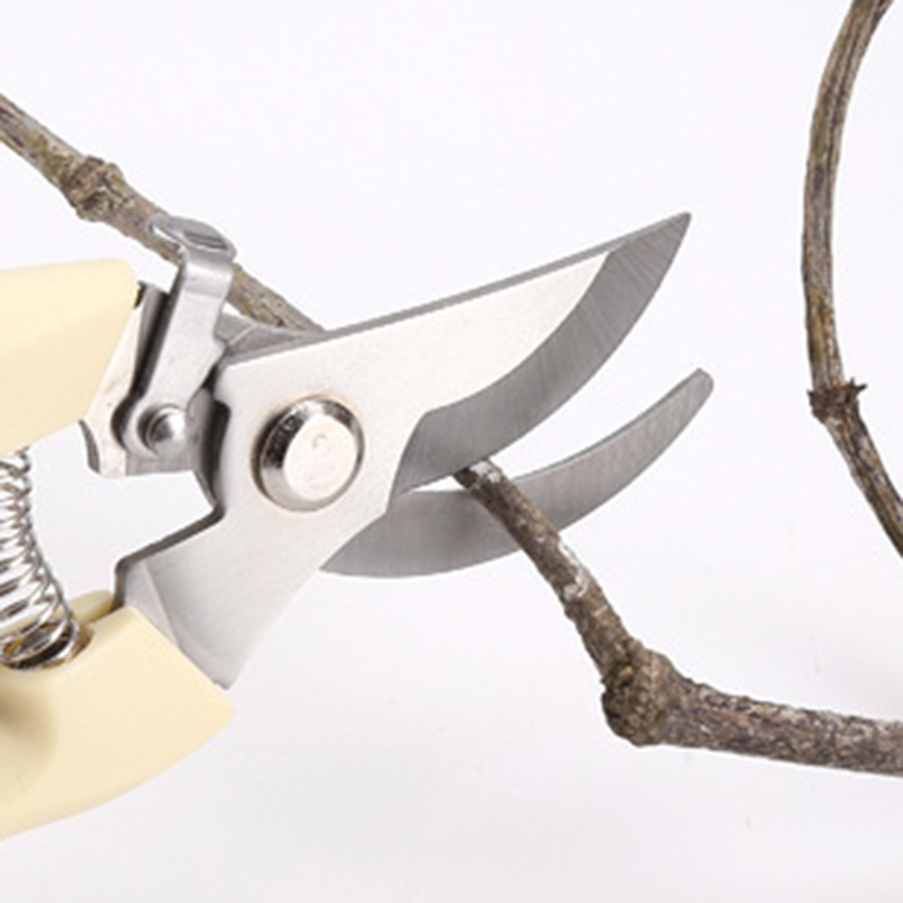 Pruner Shears Hand Tools Bonsa - Bonsai Tool Set ulasan dan harga