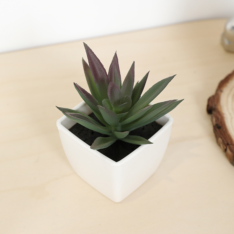 Mini Artificial Succulent Fair - Bonsai Garden Accessories ulasan dan harga
