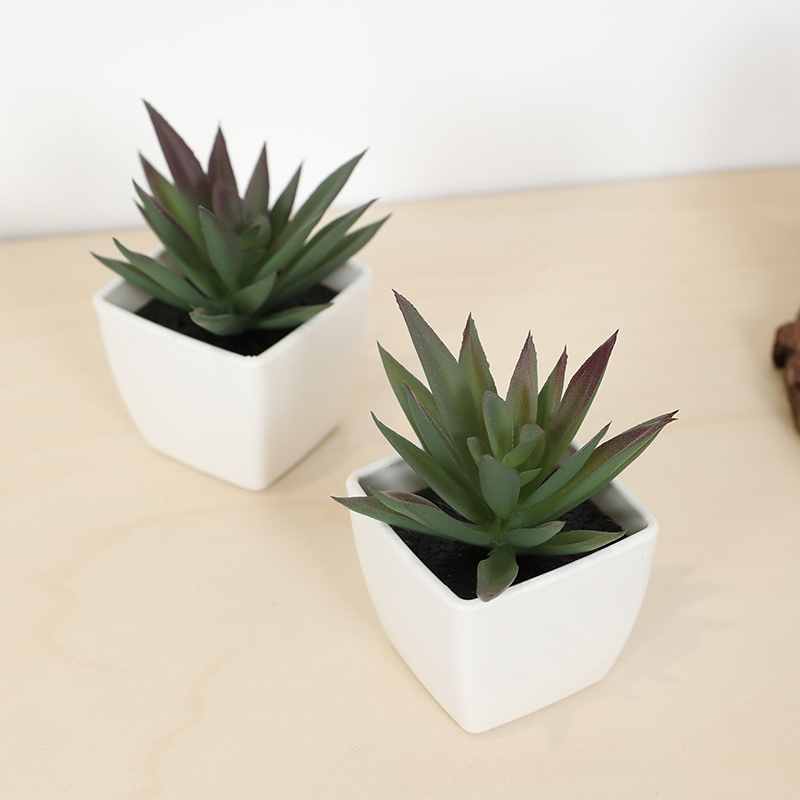 Mini Artificial Succulent Fair - Bonsai Garden Accessories ulasan dan harga
