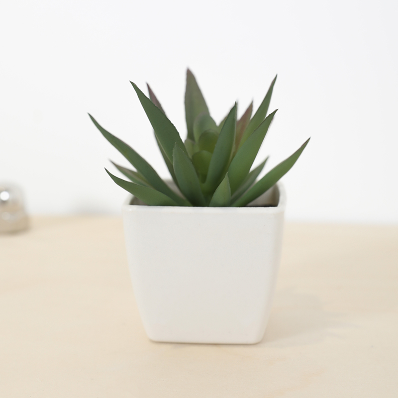 Mini Artificial Succulent Fair - Bonsai Garden Accessories ulasan dan harga
