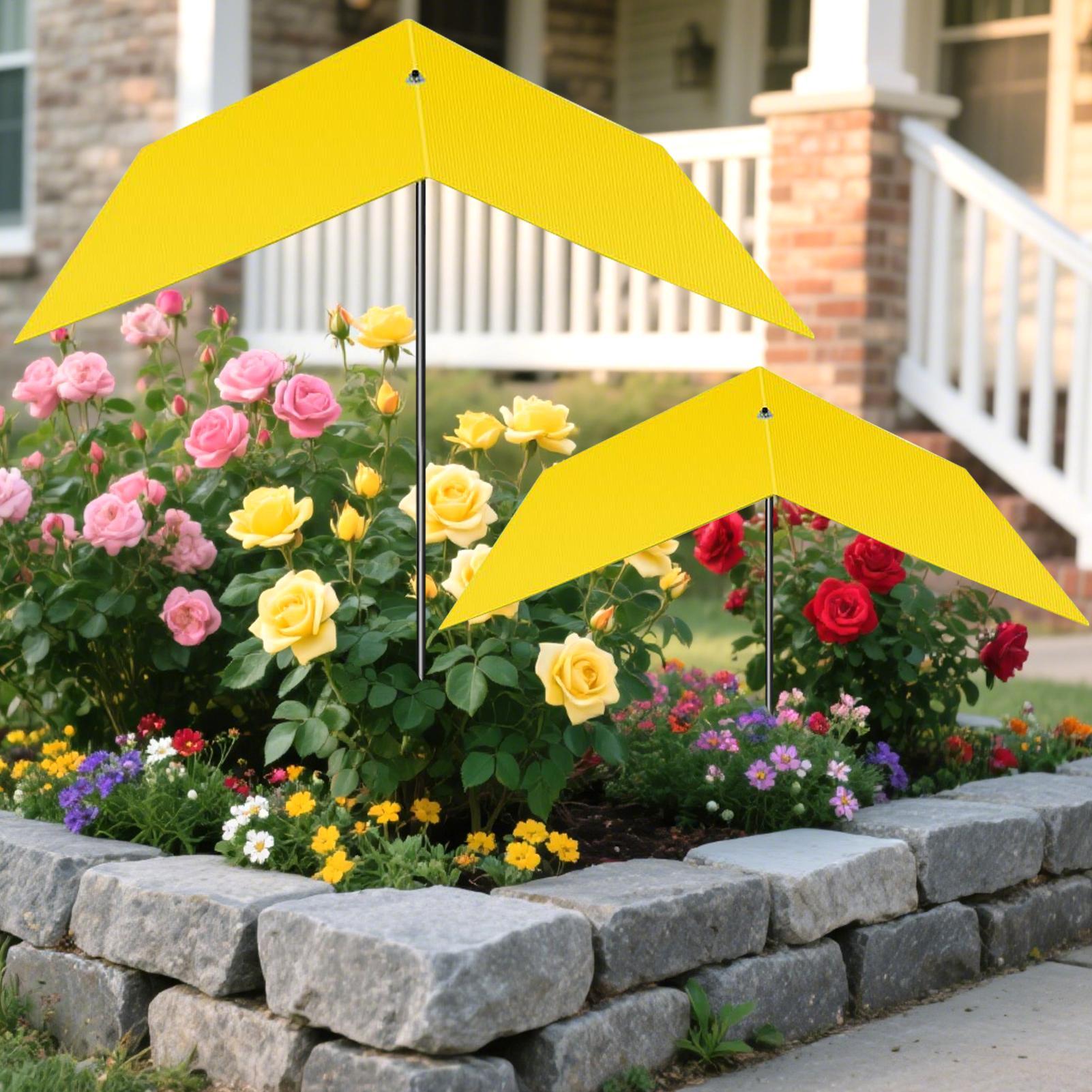 Plant Shade Plant Shade Cover  - Bonsai Garden Backyard ulasan dan harga