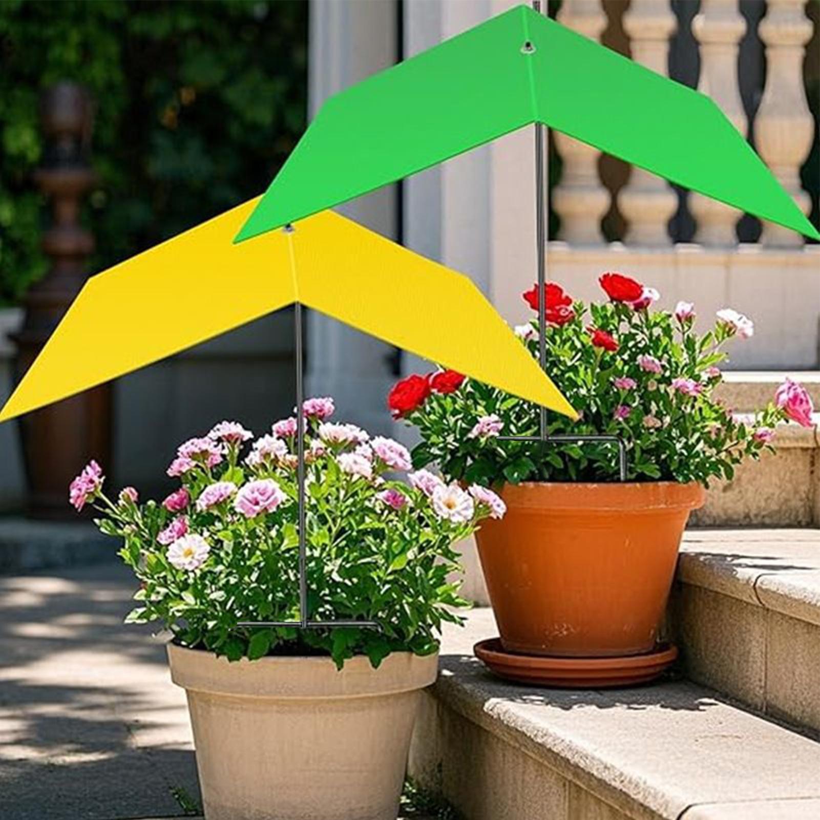 Umbrellas For Outdoor Plants U - Bonsai Garden Backyard ulasan dan harga