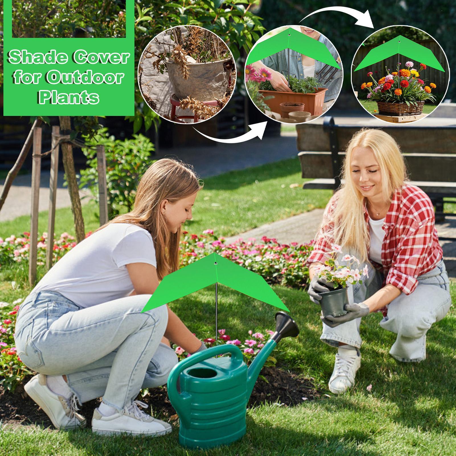 Umbrellas For Outdoor Plants U - Bonsai Garden Backyard ulasan dan harga