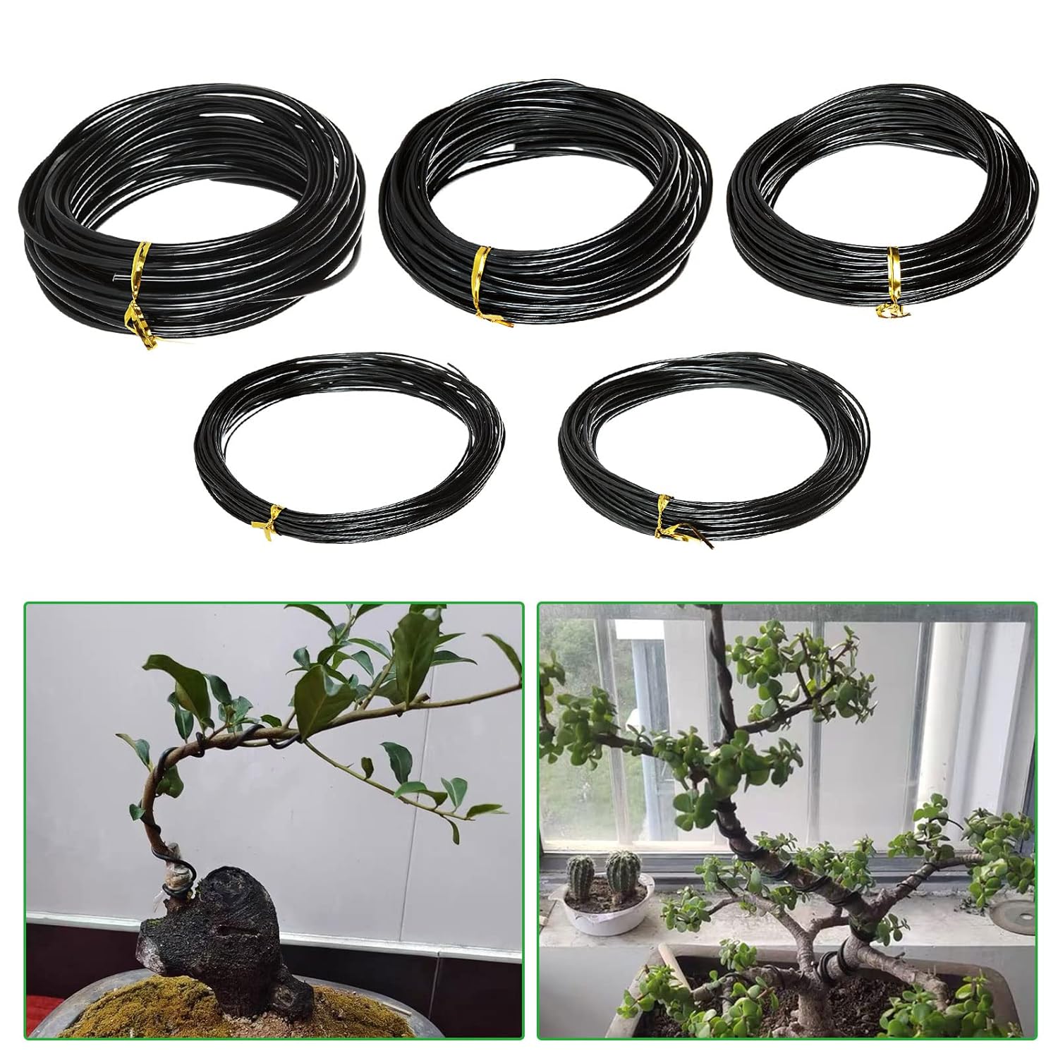 Bonsai Wire Plant Support Anod - Bonsai Garden Accessories ulasan dan harga