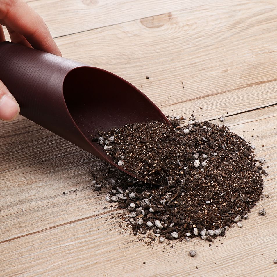 1PC Plastic Soil Shovel Cup Fo - Bonsai Garden Accessories ulasan dan harga